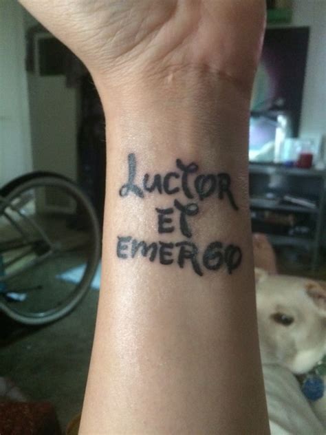 For thousands of years, the lion has been recognized by humans as a thing of beauty but also something we should fear. tattoos with meaning on Tumblr