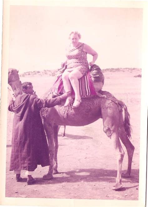 Granny On A Camel Launceston