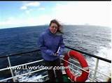 Photos of Cruise Patagonia