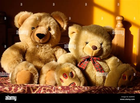 Teddy Bear Hug