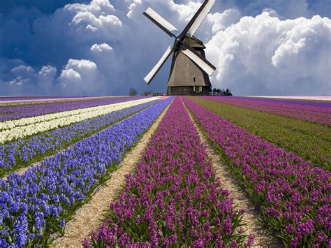 Paisajes fotografia fotos flores bonitas imágenes bellas fábrica de jarra viajes de aventura amor purpura naturaleza. INOLVIDABLES PAISAJES DE HOLANDA Y LOS PAÍSES BAJOS ...