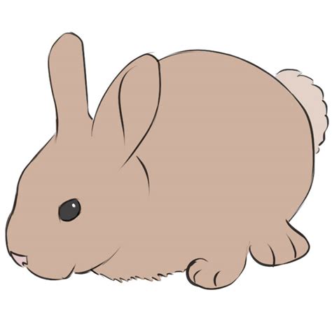 Easy Cute Anime Bunny Drawings Read Bunny Anime From The Story My