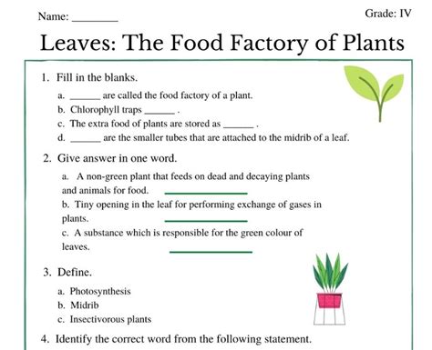 Leaves And The Food Factory Of Plants Engaging Worksheets For Class 4