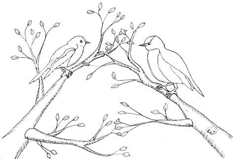 Robin Bird Coloring Pages - Coloring Home