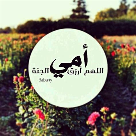 لا يكفي عيد الأم بأن أعبر لكِ بالشكر عن كل ما قدمتيه لي في حياتي وكل شيء تفعليه من أجل بقائنا. دعاء الام بالصور - ليدي بيرد