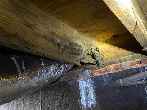 Southeast Foundation And Crawl Space Repair Before After Photo Set Crawl Space Support In