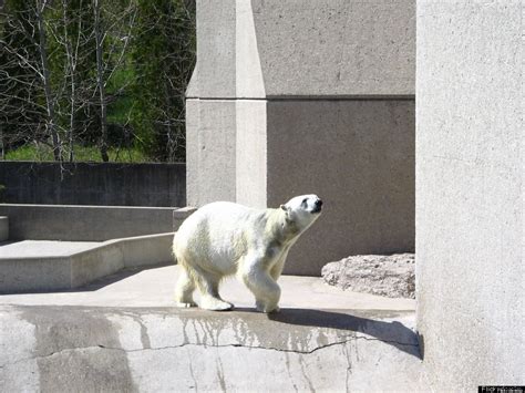Photos The Worlds Coolest Zoos Toronto Zoo Zoo Animals