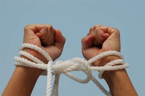 My Hands Are Tied Stock Photo Image Of Rope Inept Knot 174134
