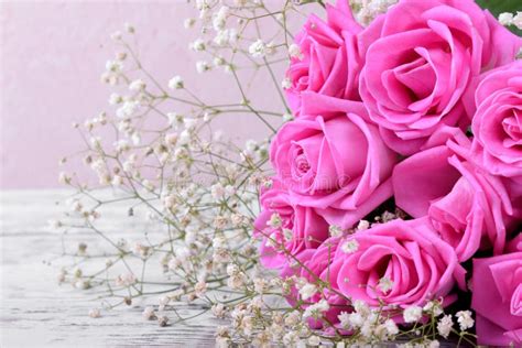 Bouquet Of Pink Roses And Gypsophila Flowers Stock Image Image Of