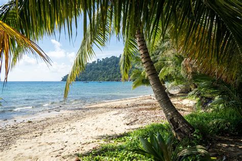 Tioman island travel guide with tips on what to do, best time to visit, where to stay, map… and where to go scuba diving in tioman island, malaysia! Getting to Tioman Island, Malaysia