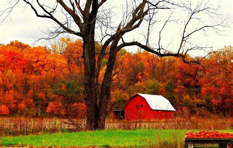 Autumn In Indiana Photograph By Robin Pross