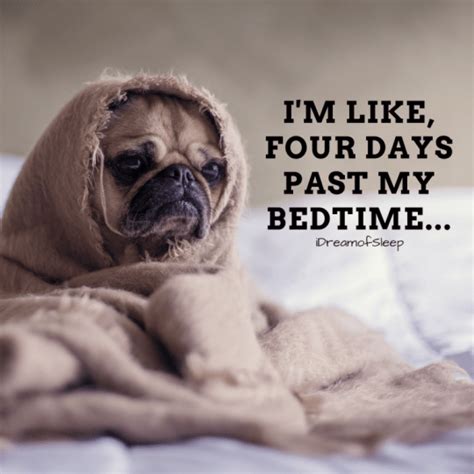 16 Hilarious Cant Sleep Quotes And Sayings Only Insomniacs Will