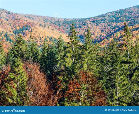 Autumn Carpathians Ukraine Stock Photo Image Of Nature Beautiful