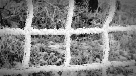 Free Images Tree Forest Branch Cold Fence Black And White Frost