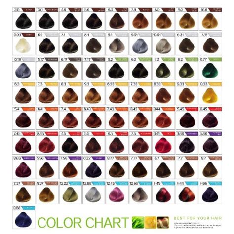 hair color chart for morena