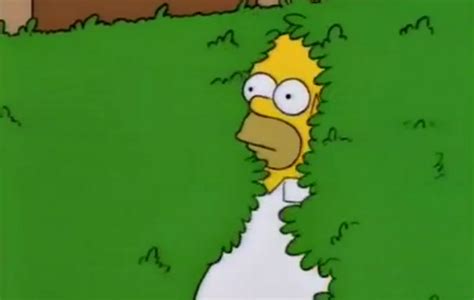 Even Homer Simpson Uses That  Of Himself Hiding In The Bushes