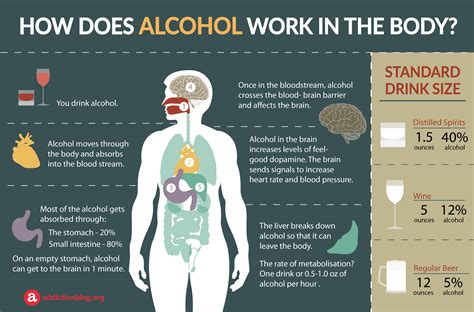 Alcohol In The Body How Drinking Affects The Body And