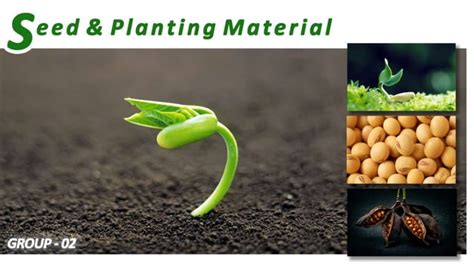Seeds And Planting Materials Marketing Ppt