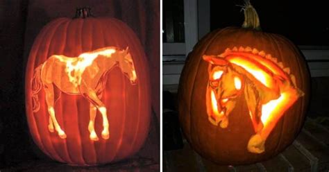 20 Amazing Horse Pumpkin Carving Ideas For Halloween Horsey Hooves