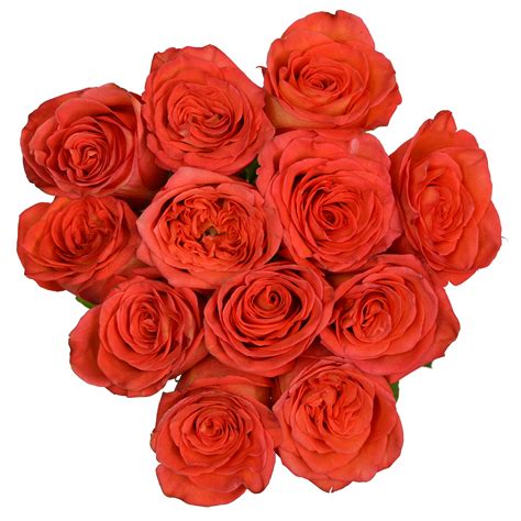 Rose High And Orange Magic Pick Up Flower Catalog