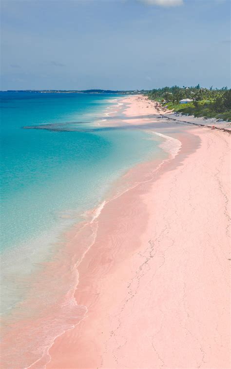 The Most Beautiful Pink Sand Beaches To Add To Your Travel Bucket List