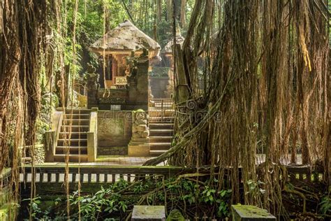 Sacred Monkey Forest Sanctuary In Ubud Bali Island Indonesia Stock