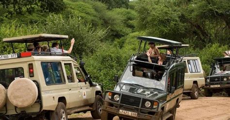 5 days tanzania budget camping safari getyourguide