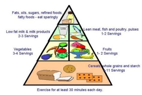 Food Guide Pyramid For Pregnant Women Food Pyramid Pinterest