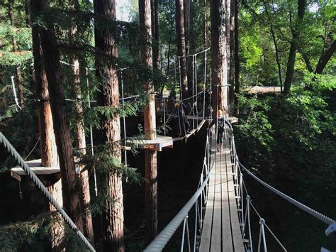 See more of mount hermon redwood canopy tours on facebook. Mount Hermon Redwood Canopy Tours Reviews | Santa Cruz ...