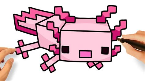 Comment Dessiner Minecraft Axolotl Facile étape Par étape Bizimtube