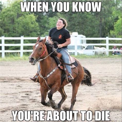 Hahaha Omg So Me Funny Horses Funny Horse Pictures Horse Quotes Funny