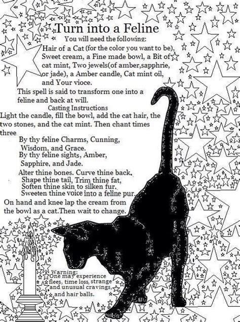 Turn Into A Cat Witch Names Witchcraft Wiccan Spells