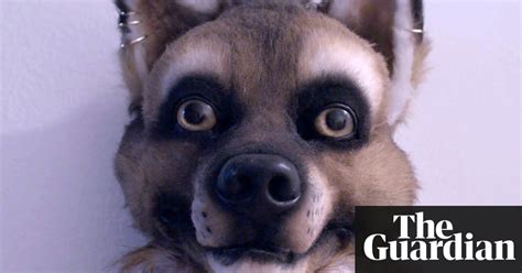 Its Not About Sex Its About Identity Why Furries Are Unique Among Fan Cultures Fashion