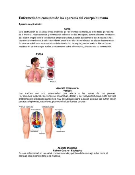 Doc Enfermedades Comunes De Los Aparatos Del Cuerpo Humano Ingrid