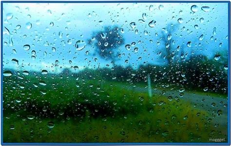 Rainy Day Screensaver Windows 7 Download Screensaversbiz