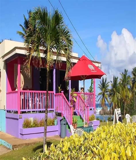Island Adventure Tour Barbados Itc Barbados Tours Excursions And Transfers