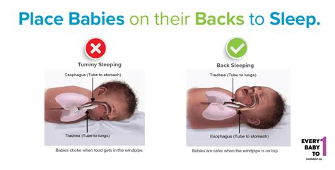 Safe Sleep Every Baby To 1