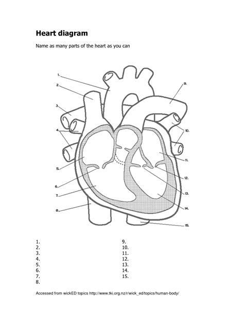Printable Diagram Of The Heart