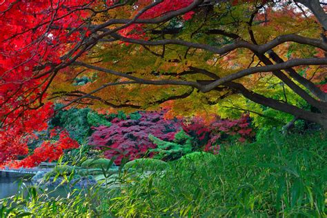 Autumn Japanese Garden Hd Wallpaper Background Image 2048x1367 Id