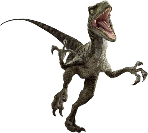 Image Raptor Render Edited Png Jurassic Park Wiki Fandom Powered By Wikia