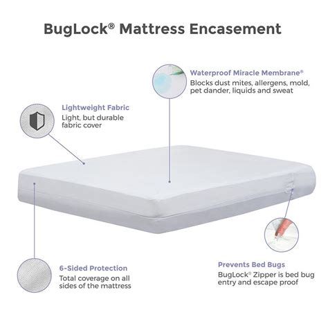 Buglock Plus Economy Encasement Protect A Bed