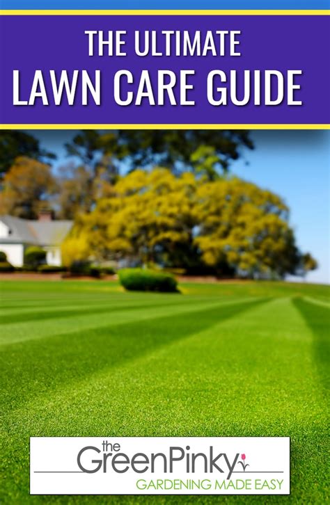 Diy Lawn Care — Our In Depth Guide With Tips