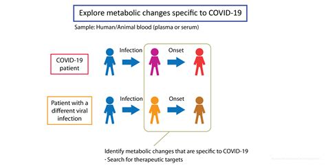 Covid 19 Research Human Metabolome Technologies