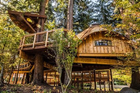 Techie Treehouses - Microsoft's Treetop Work Spaces — Nelson Treehouse