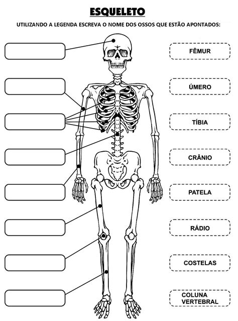 Educação Física Professor Guilherme Escola do Ambrósio AULA 2