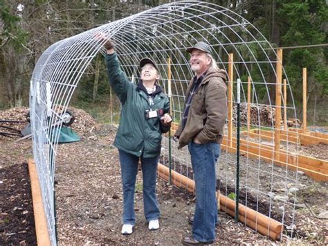 Buy the best and latest cattle panel on banggood.com offer the quality cattle panel on sale with worldwide free shipping. Walk through trellis made of hog wire. We call it cattle ...