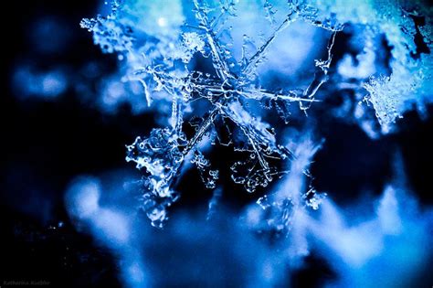 Most Wonderful Shade Of Blue An Up Close Photo Of A Snowflake Wow