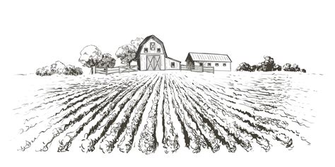 Rural Landscape Field . Hand Drawn Vector Illustration. Countryside