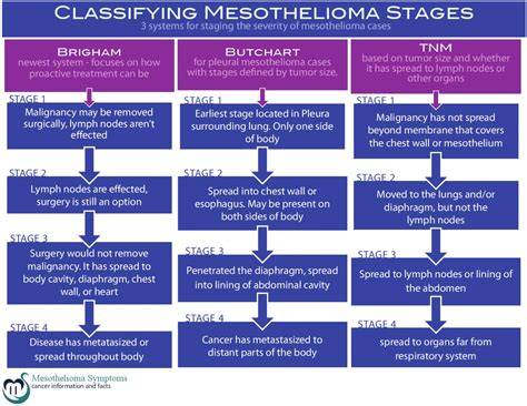 5.2 how quickly does the cancer. Mesothelioma Stages by Royal Caribbean Blog - Issuu