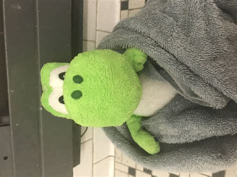 Hi, this is nguyen khang here & welcome to my channel top express deals. 3 Ways to Wash Stuffed Animals - wikiHow
